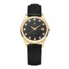 Black Dial Gold Bezel